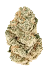 Fast Buds Semințe de canabis Gorilla Melon Feminizate