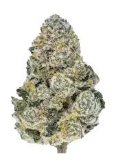 Fast Buds Semințe de canabis Lemonpaya Feminizate