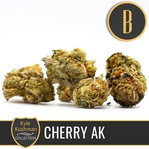 Blimburn Seeds Semi di Cannabis Cherry AK di Kyle Kushman's Femminizzati