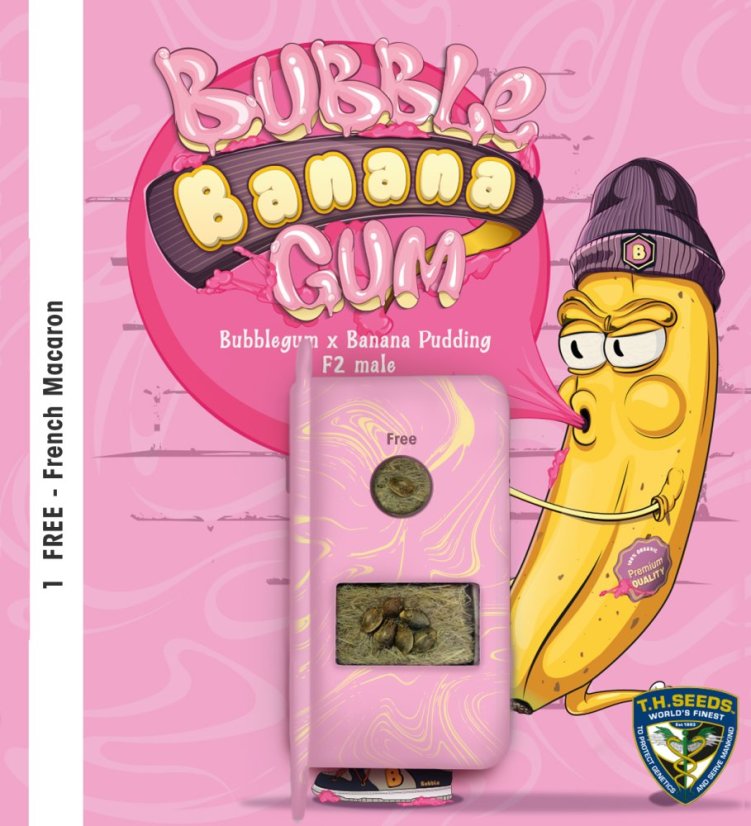 T.H.Seeds™ Cannabis Seeds BubbleBananaGum, 6+1 specialpakke, feminiseret