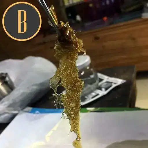 Blimburn Seeds Cannabisfrön Guanabana feminiserade