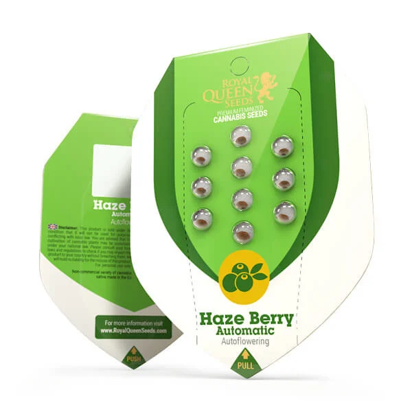 Royal Queen Seeds Seminte de canabis Haze Berry Auto