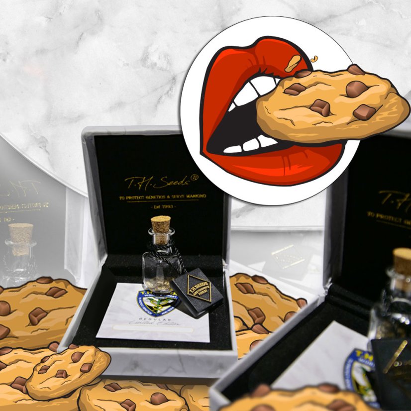T.H.Seeds™ Semințe de canabis ediție regulată limitată French Kisz, pachet de 11