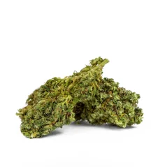 Euphoria CBD Weed Platinum Harle Tsu, 100 g