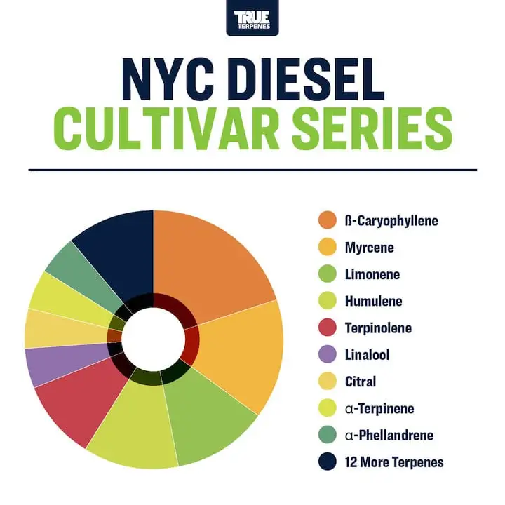 True Terpenes Cultivar Series NYC Diesel (5 ml - 960 ml)