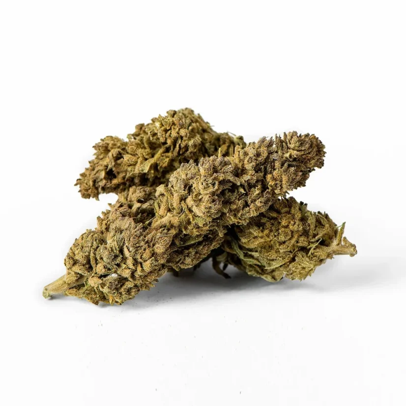 Euphoria CBD Weed Carmagnola Cheese, 100 g