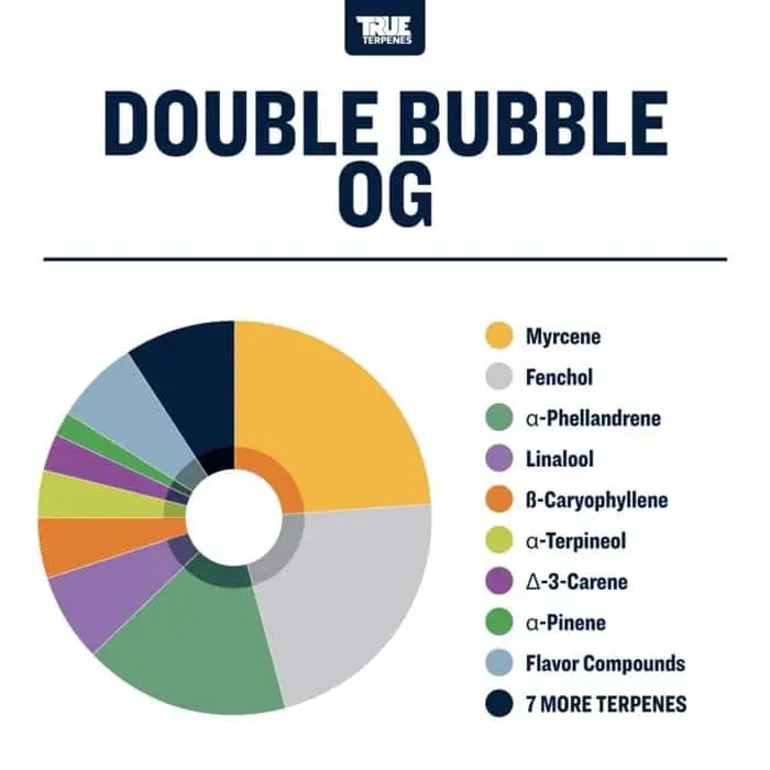 True Terpenes Flavor Infused Double Bubble OG (5 ml - 960 ml)