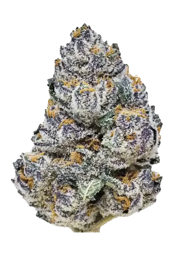 Fast Buds Semințe de canabis Rainbow Melon Feminizate