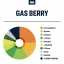 True Terpenes Levende Alchemy Gas Berry (5 ml - 960 ml)