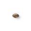 The Bulldog Seeds The Bulldog Biscoitos Feminizados, 3 e 5 pcs