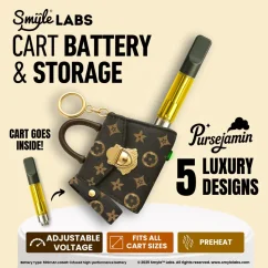 Smyle Labs Purse 510 Cart Battery - Pursejamin