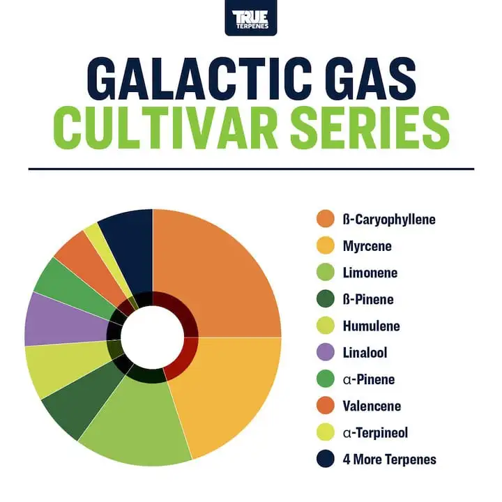 True Terpenes Cultivar Series Galactic Gas (5 ml - 960 ml)