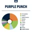 True Terpenes Flavor Infused Purple Punch (5 ml - 960 ml)