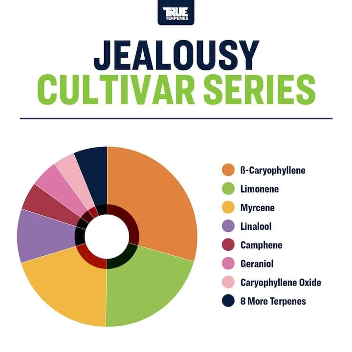 True Terpenes Cultivar Series Jealousy (5 ml - 960 ml)
