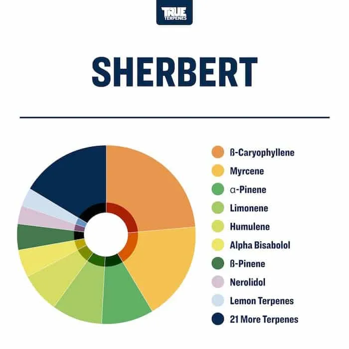 True Terpenes Live Alchemy Sherbert (5 ml - 960 ml)