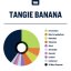 True Terpenes Tangie Banana (5 ml - 960 ml)