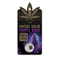 Euphoria H4CBD Sólido Purple Kush, H4CBD 10%, 1 g