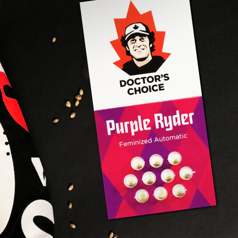 Doctor´s Choice Seeds Purple Ryder Auto Feminizada