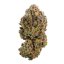 Royal Queen Seeds Seminte de canabis Sweet ZZ feminizate