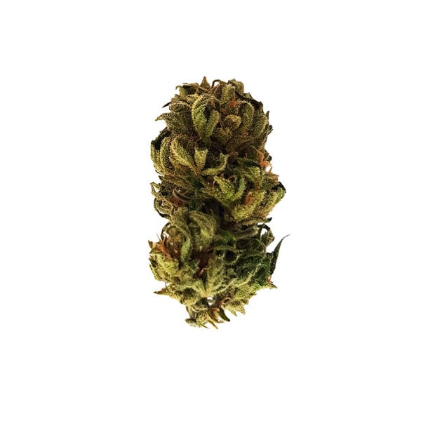 Royal Queen Seeds Seminte de canabis Royal Kush Auto