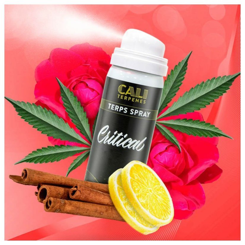 Cali Terpenes Terps Spray - CRITICAL, 5 ml - 15 ml