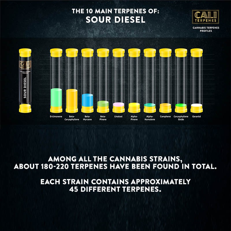 Cali Terpenes - SOUR DIESEL, 1 - 1000 ml