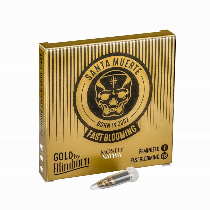 Blimburn Seeds Cannabisfrø Santa Muerte hurtigt blomstrende feminiseret