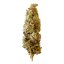 Royal Queen Seeds Seminte de canabis Shogun feminizate