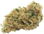 CanaPuff CBD Hanfblüte Wellness, CBD 18 %, 1 g – 10 g