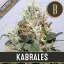Blimburn Seeds Semena konoplje Kabrales Feminized