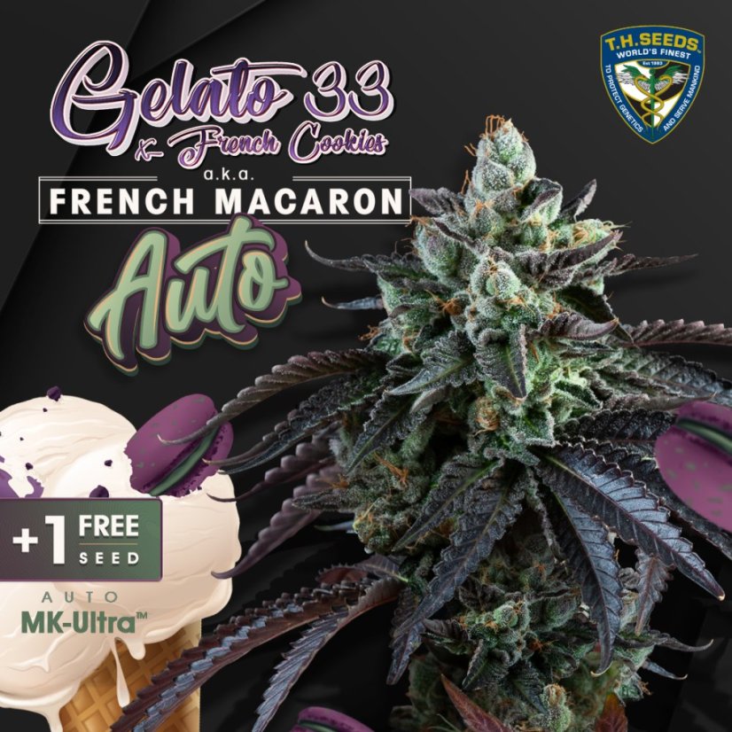 T.H.Seeds™ Seminte de canabis Auto French Macaron, pachet 6+1, feminizate