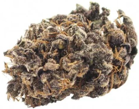 CanaPuff Fleur de chanvre CBD Royal Skunk, CBD 24 %, 1 g - 10 g