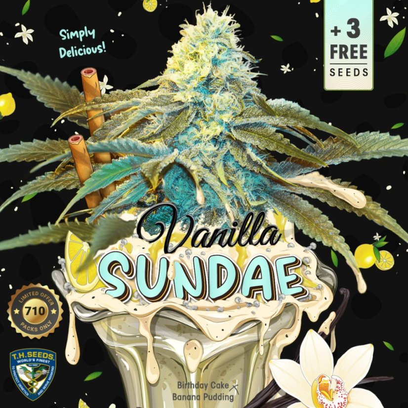 T.H.Seeds™ Seminte de canabis Vanilla Sundae, 710 Limited Special Pack, feminizate