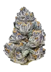 Fast Buds Semințe de canabis Rainbow Melon Feminizate