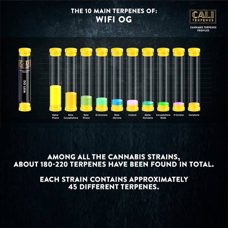 Cali Terpenes - WIFI OG, 1 - 1000 ml