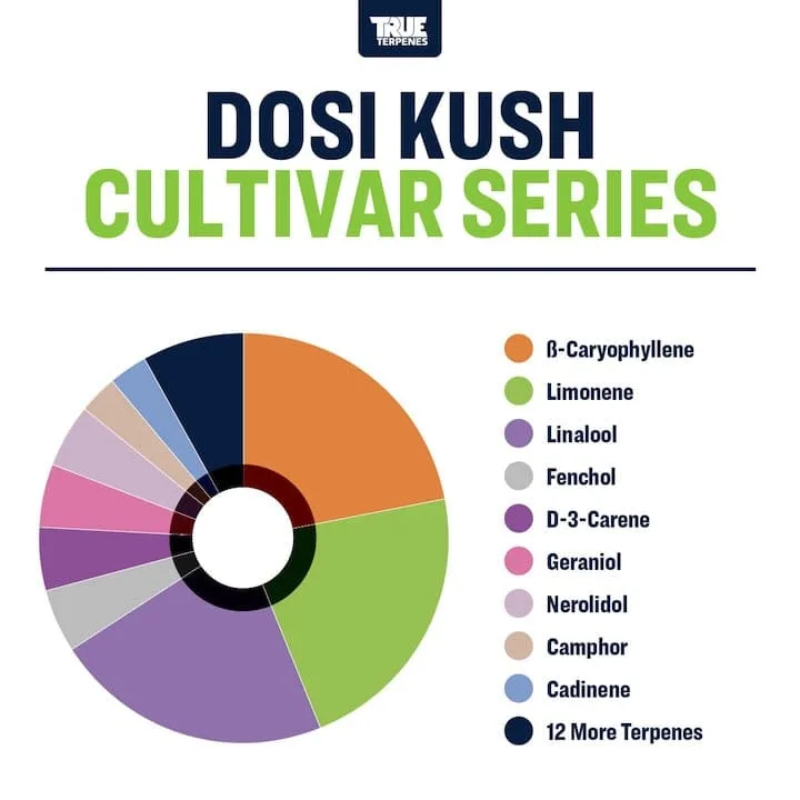 True Terpenes Cultivar Series Dosi Kush (5 ml - 960 ml)