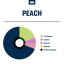 True Terpenes Persika (5 ml - 960 ml)