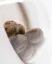 Sensi Seeds Seminte de canabis Afghan Kush Regular by White Label, 10 buc