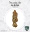 T.H.Seeds™ Cannabis Seeds Stracciatella™, 6+1 specialpakke, feminiseret