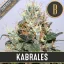 Blimburn Seeds Hanfsamen Kabrales Feminisiert