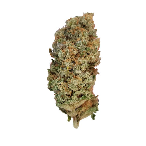 Royal Queen Seeds Semințe de canabis Special Queen #1 feminizate