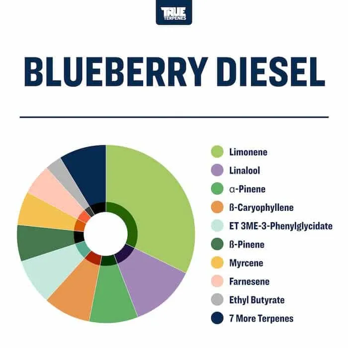 True Terpenes Live Alchemy Blueberry Diesel (5 ml - 960 ml)