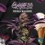 T.H.Seeds™ Seminte de canabis French Macaron, 6+1 Pack Special, feminizate