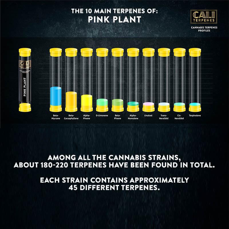 Cali Terpenes - ROSA VÄXT, 1 - 1000 ml
