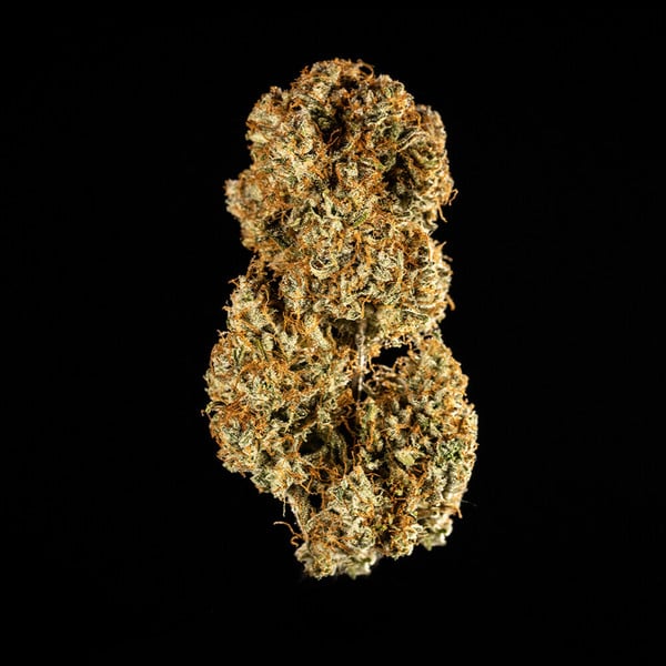 Royal Queen Seeds Семена от канабис Medusa F1 Auto