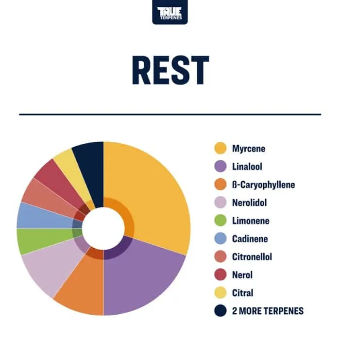 True Terpenes Terpology® Rest (5 ml - 960 ml)