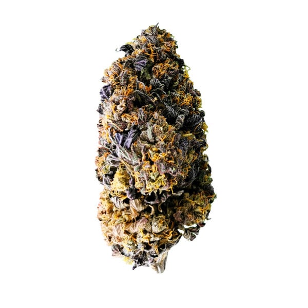 Royal Queen Seeds Seminte de canabis Gelato de nunta feminizat