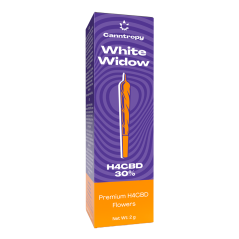 Canntropy H4CBD Prerolls White Widow, 30 % H4CBD, 1 g