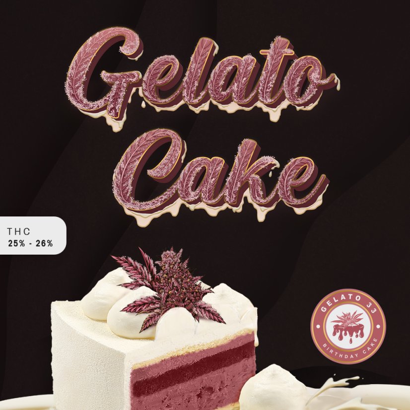 T.H.Seeds™ Cannabisfrø Gelato-kage, 6+1 specialpakke, feminiseret