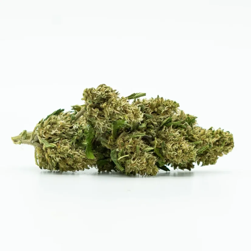 CBD Skleníkový kvet Sweet Mango 10 %, 1 g - 100 g